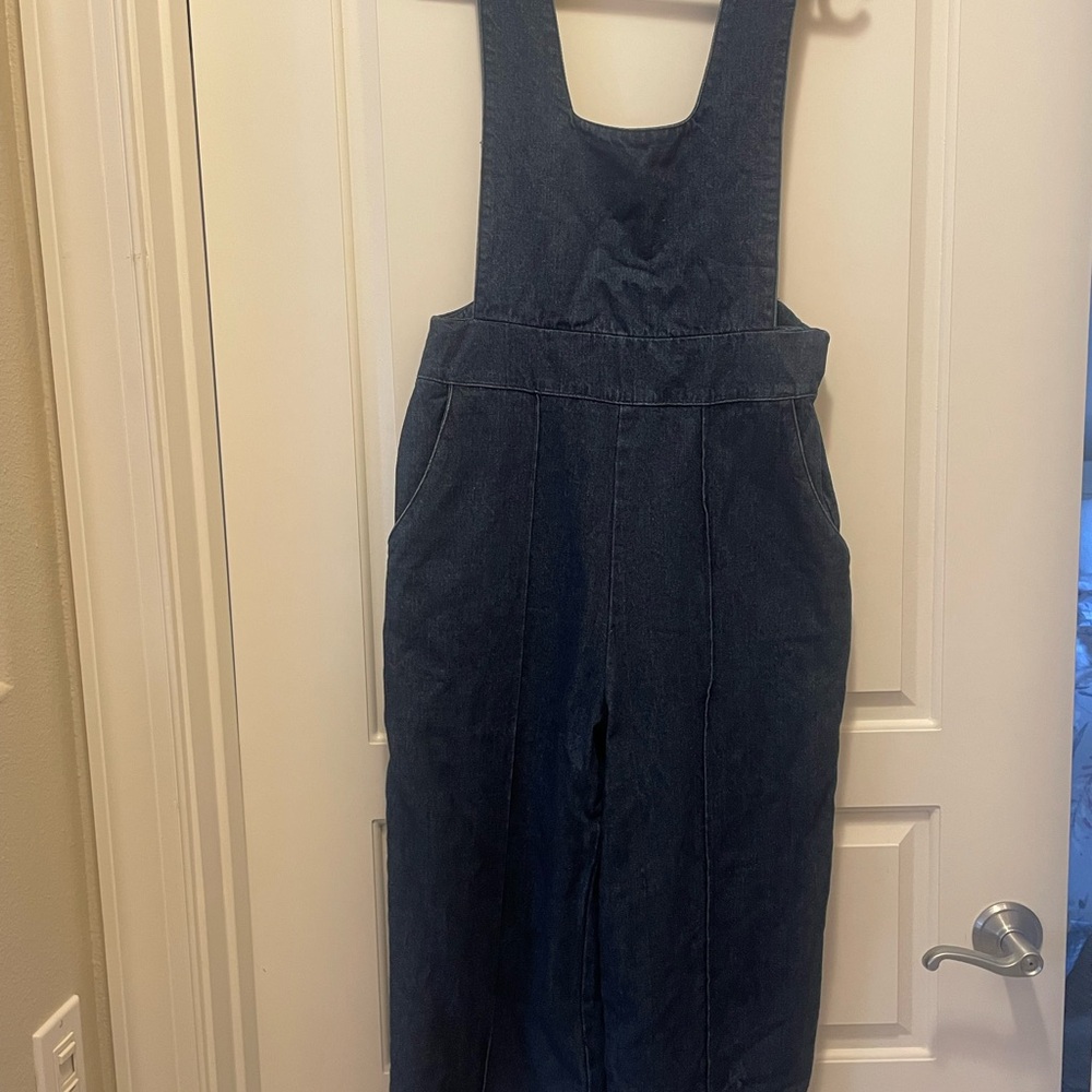 Audrey Blue Women Jeans Overalls